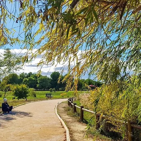 Apartment Cyprien Golf View 2 Bedrooms , 900 M From The